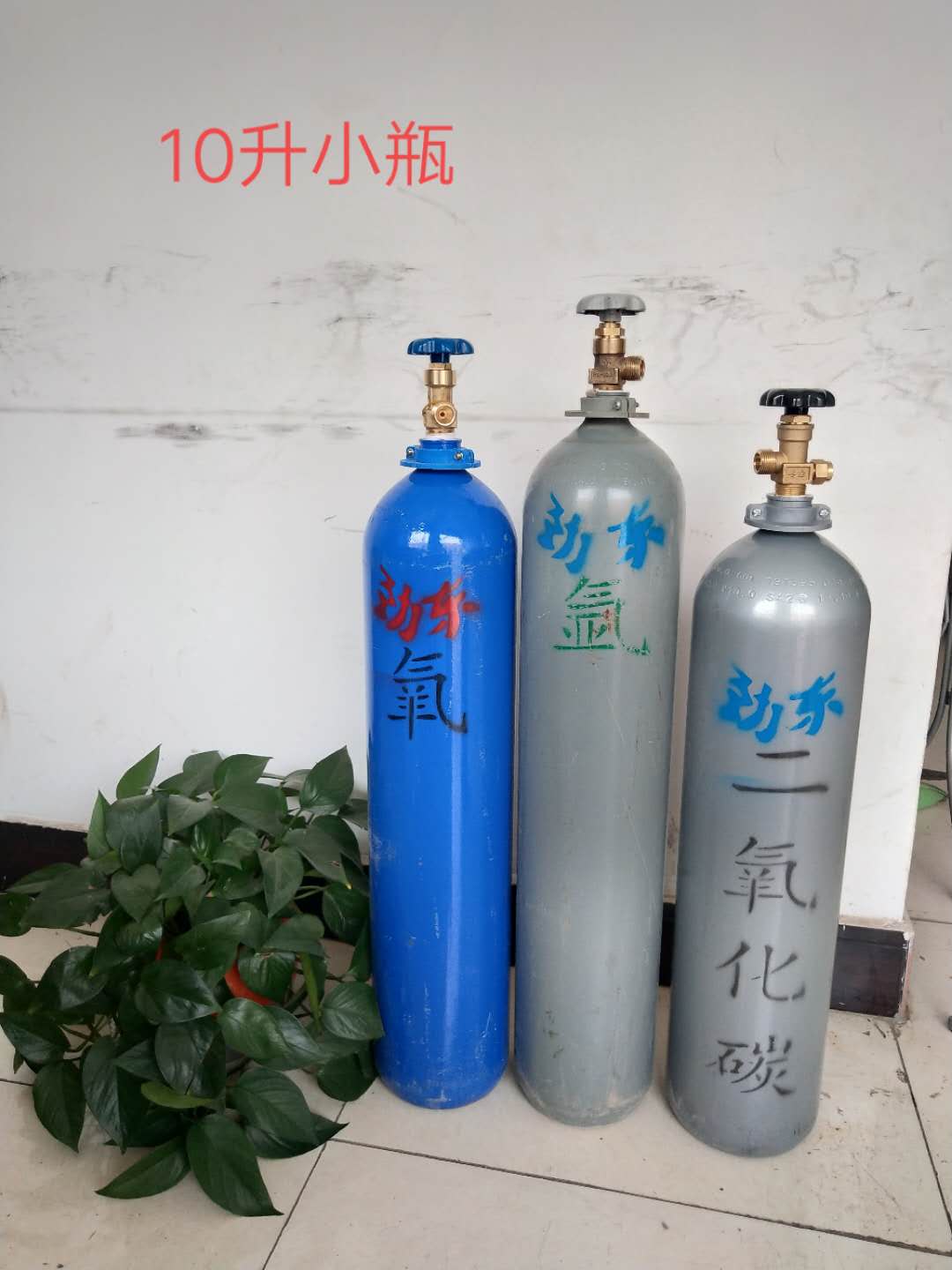 寧夏氧氣,寧夏氮氣,寧夏干冰,寧夏二氧化碳,寧夏氫氣，寧夏氦氣，寧夏氬氣，寧夏丙烷，寧夏乙炔，寧夏混合氣，寧夏高純空氣，寧夏液化石油氣，銀川氧氣,銀川氮氣,銀川干冰,銀川二氧化碳,銀川氫氣，銀川氦氣，銀川氬氣，銀川丙烷，銀川乙炔，銀川混合氣，銀川高純空氣，銀川液化石油氣
